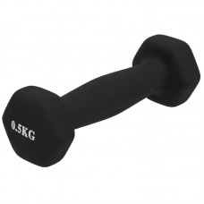 Гантель для фітнесу FitGo Веселка 1x0,5 кг, чорний, код: TA-0001-0_5_BK-S52 Гантель для фітнесу FitGo Веселка 1x0,5 кг, чорний, код: TA-0001-0_5_BK-S52