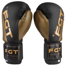 Боксерські рукавички FGT 10oz, чорний /золото, код: FT-2560/10-WS