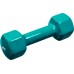 Гантель аеробна вінілова Fitnessport VDD-01-4кг, 1х4 кг, зелений, код: 10175-AX