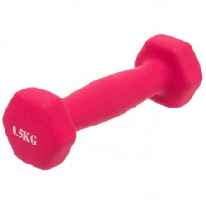 Гантель для фітнесу FitGo Веселка 1x0,5 кг, рожевий, код: TA-0001-0_5_P-S52 Гантель для фітнесу FitGo Веселка 1x0,5 кг, рожевий, код: TA-0001-0_5_P-S52