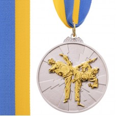 Медаль спортивна зі стрічкою PlayGame Тхеквондо срібна, код: C-7029_S