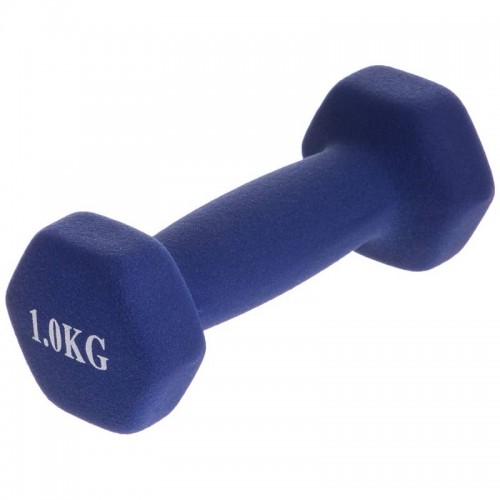 Гантелі для фітнесу FitGo Веселка з неопреновим покриттям 1x1 кг синій, код: TA-0001-1_BL-S52 Гантелі для фітнесу FitGo Веселка з неопреновим покриттям 1x1 кг синій, код: TA-0001-1_BL-S52