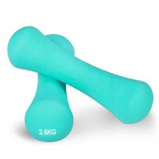 Гантелі неопренові PowerPlay Spartacus 2х2,5 кг, м”ятний, код: PP_4126_2.5kg_2in-PP Гантелі неопренові PowerPlay Spartacus 2х2,5 кг, м”ятний, код: PP_4126_2.5kg_2in-PP