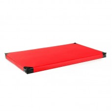 Гімнастичний матрац Insportline Roshar T60 200x120x10 cm - червоний, код: 16679-2-IN