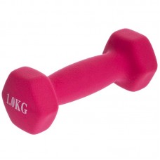Гантелі для фітнесу FitGo Веселка з неопреновим покриттям 1x1 кг рожевий, код: TA-0001-1_P-S52 Гантелі для фітнесу FitGo Веселка з неопреновим покриттям 1x1 кг рожевий, код: TA-0001-1_P-S52