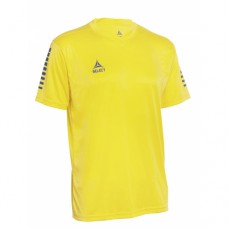 Футболка для матчів чоловіча Select Pisa Player Shirt s/s L, жовтий-синій, код: 5703543228065