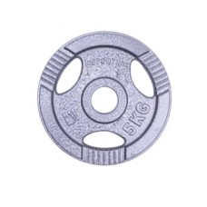 Диск чавунний inSPORTline Hamerton 5 кг, код: 12710-IN