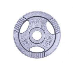 Диск чавунний inSPORTline Hamerton 5 кг, код: 12710-IN