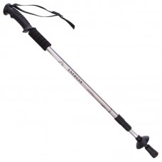 Палка трекінгова для скандинавської ходьби Camping Energia срібний, код: TY-3924-1_GR Палка трекінгова для скандинавської ходьби Camping Energia срібний, код: TY-3924-1_GR