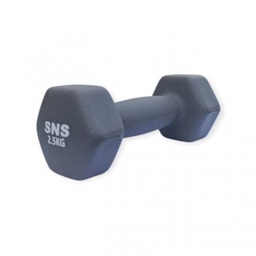 Гантель вінілова Матова SNS 1х2,5 кг, сірий, код: 28206-SNS