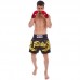 Шорти для тайського боксу та кікбоксингу Fairtex XXL чорний, код: BS0646_XXLBK