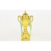 Кубок спортивний з ручками і кришкою PlayGame Carved 37 см, код: QY078C