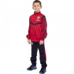Костюм спортивний дитячий унісекс Lidong Arsenal 28, зріст 135-140, червоний-темно-синій, код: LD-6125K-A_28RBL