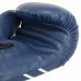Боксерські рукавиці Fistrage 14 унцій, синій, код: VL-5119_14BL