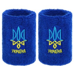 Напульсник спортивний махровий FitGo Україна 1шт, синій, код: BC-9273_BL