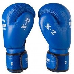 Боксерские перчатки кожаные TopTen X-2 10oz, синий, код: TT-X210B-WS