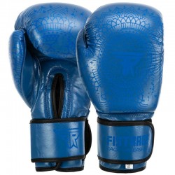 Боксерські рукавиці шкіряні Fistrage 12 унцій, синій, код: VL-5543_12BL