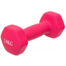 Гантелі FitGo 1х2 кг рожевий, код: TA-0001-2_P