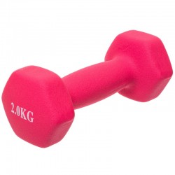Гантелі FitGo 1х2 кг рожевий, код: TA-0001-2_P