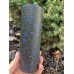 Масажний ролик (роллер) гладкий PowerPlay Mini EPP Foam Roller 150x53 мм, чорний-синій, код: PP_4346_Blue_(15x5)
