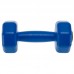Гантелі для фітнесу пластикові Champion 2х1,5кг, синій, код: TA-9820-1_5_BL