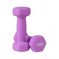 Гантелі для фітнесу неопренові FitGo 2x1 кг, бузковий, код: 80024-N1U-WS Гантелі для фітнесу неопренові FitGo 2x1 кг, бузковий, код: 80024-N1U-WS
