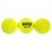 Мячи для большого тенниса Teloon, код: T801P3