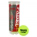М"яч для падел-тенісу Teloon Padel Club 3шт, салатовий, код: WZPA818003-TRAINING-S52