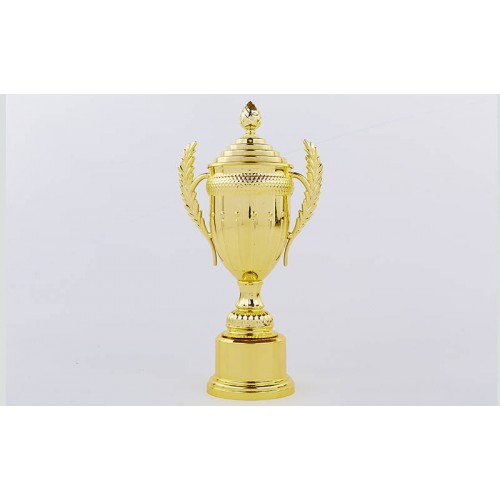 Кубок спортивний з ручками і кришкою PlayGame Ambition 34,5 см, код: C-899-2B