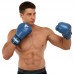 Боксерські рукавиці шкіряні Fistrage 12oz, синій, код: VL-4295_12BL