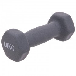 Гантелі для фітнесу FitGo Веселка з неопреновим покриттям 1x1 кг сірий, код: TA-0001-1_GR-S52 Гантелі для фітнесу FitGo Веселка з неопреновим покриттям 1x1 кг сірий, код: TA-0001-1_GR-S52