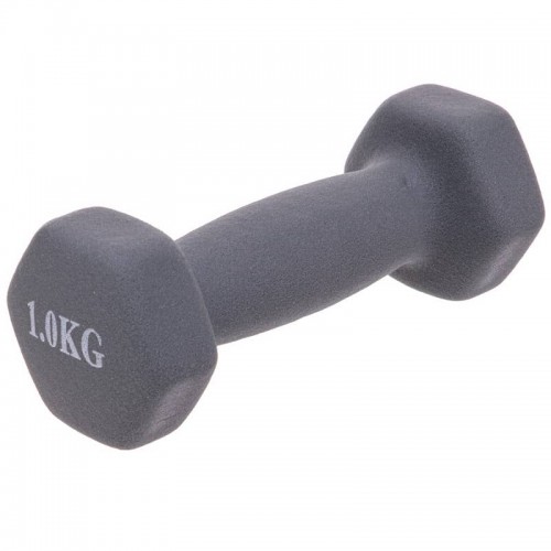 Гантелі для фітнесу FitGo Веселка з неопреновим покриттям 1x1 кг сірий, код: TA-0001-1_GR-S52 Гантелі для фітнесу FitGo Веселка з неопреновим покриттям 1x1 кг сірий, код: TA-0001-1_GR-S52