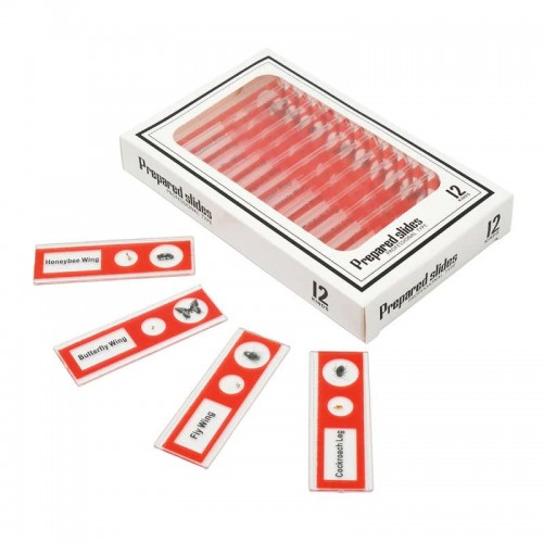 Набір мікропрепаратів Sigeta Entrance Будова комах (12 шт.), код: 65122-DB Набір мікропрепаратів Sigeta Entrance Будова комах (12 шт.), код: 65122-DB