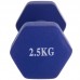 Гантели FitGo 1х2,5 кг синий, код: TA-0001-2_5_BL