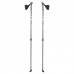 Палиці для скандинавської ходьби Insportline Hallti регульовані, код: 20305-IN