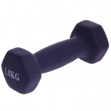 Гантелі для фітнесу FitGo Веселка з неопреновим покриттям 1x1 кг фіолетовий, код: TA-0001-1_V-S52 Гантелі для фітнесу FitGo Веселка з неопреновим покриттям 1x1 кг фіолетовий, код: TA-0001-1_V-S52