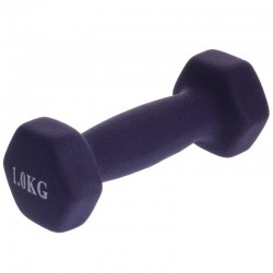 Гантелі для фітнесу FitGo Веселка з неопреновим покриттям 1x1 кг фіолетовий, код: TA-0001-1_V-S52 Гантелі для фітнесу FitGo Веселка з неопреновим покриттям 1x1 кг фіолетовий, код: TA-0001-1_V-S52