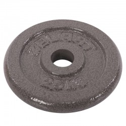 Млинці (диски) сталеві Zelart d-30мм, 2,5 кг, код: TA-7789-2_5 Млинці (диски) сталеві Zelart d-30мм, 2,5 кг, код: TA-7789-2_5