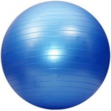 М"яч для фітнесу FitGo KingLion 550 мм, код: 5415-1B