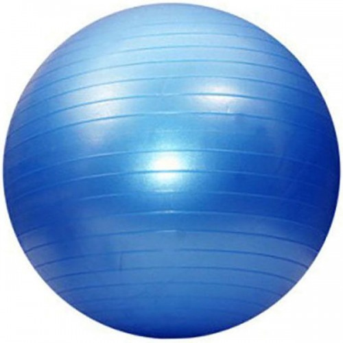 М"яч для фітнесу FitGo KingLion 550 мм, код: 5415-1B