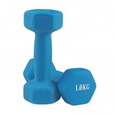 Гантелі для фітнесу неопренові FitGo 2x1 кг, блакитний, код: 80024-N1L-WS Гантелі для фітнесу неопренові FitGo 2x1 кг, блакитний, код: 80024-N1L-WS