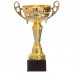 Кубок спортивний з ручками PlayGame 290 мм, код: X8032C