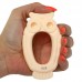 Еспандер кистьовий Сова Jello Owl навантаження 5LB, жовтий, код: FI-4411_Y