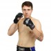 Рукавички для змішаних єдиноборств MMA Fairtex M, чорний, код: BO-0582_MBK