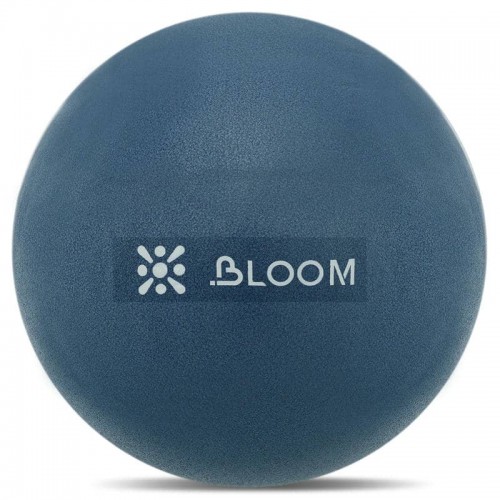 М"яч для пілатесу та йоги Mini Pilates Ball Bloom 30 см, синій, код: LB7000-30_BL М"яч для пілатесу та йоги Mini Pilates Ball Bloom 30 см, синій, код: LB7000-30_BL