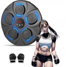 Електрична мішень для боксу EnergyFit з рукавичками, код: EF22