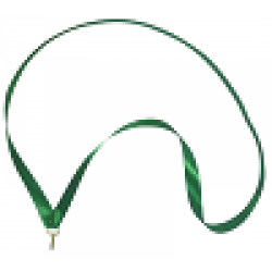 Стрічка універсальна з карабіном PlayGame (комплект 10шт) b 15мм, зелений, код: 2963060067919