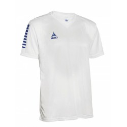 Футболка для матчів чоловіча Select Pisa Player Shirt s/s S, білий-синій, код: 5703543227495