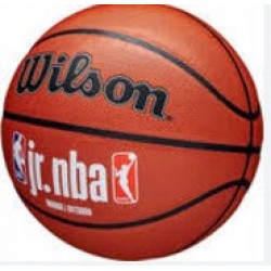 М"яч баскетбольний Wilson JR NBA FAM Logo Indoor Outdoor №5, коричневий, код: 097512623230