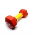 Гантель вінілова SNS 1х2,5 кг, червоний, код: 12342-SNS